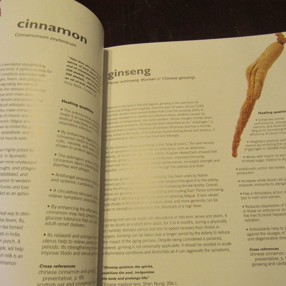 🫐🍍🍇 Fantastic Vintage "Drink to Your Health" Cookbook - SC - Picture 6 of 10